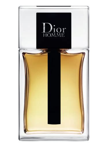 dior uomo scontate|Dior Homme Uomo in saldo fino al .